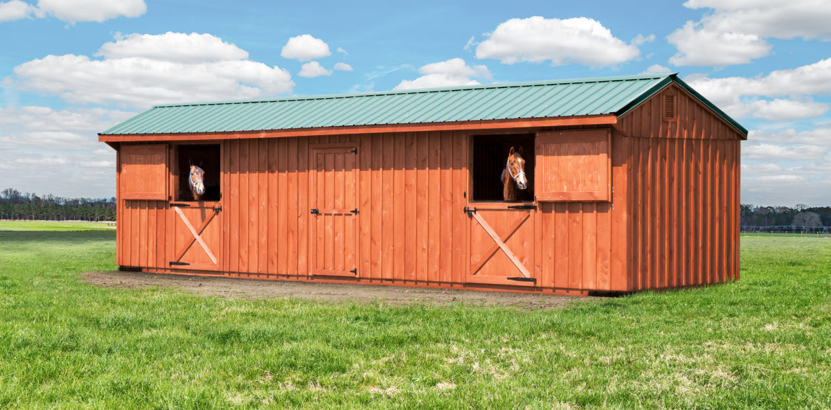 10' x 36' Horse Barn