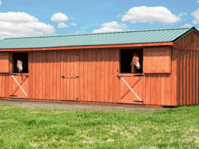 10' x 36' Horse Barn