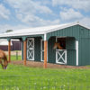 12' x 30' Lean-To Horse Barn