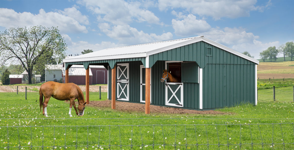 12' x 30' Lean-To Horse Barn