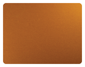 Copper Penny